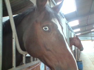 Photo de profil de myslady