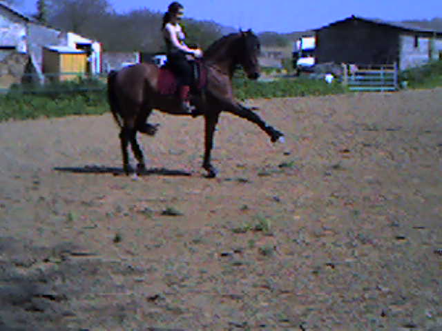 Photo de profil de nana19100