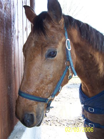 Photo de profil de nectar