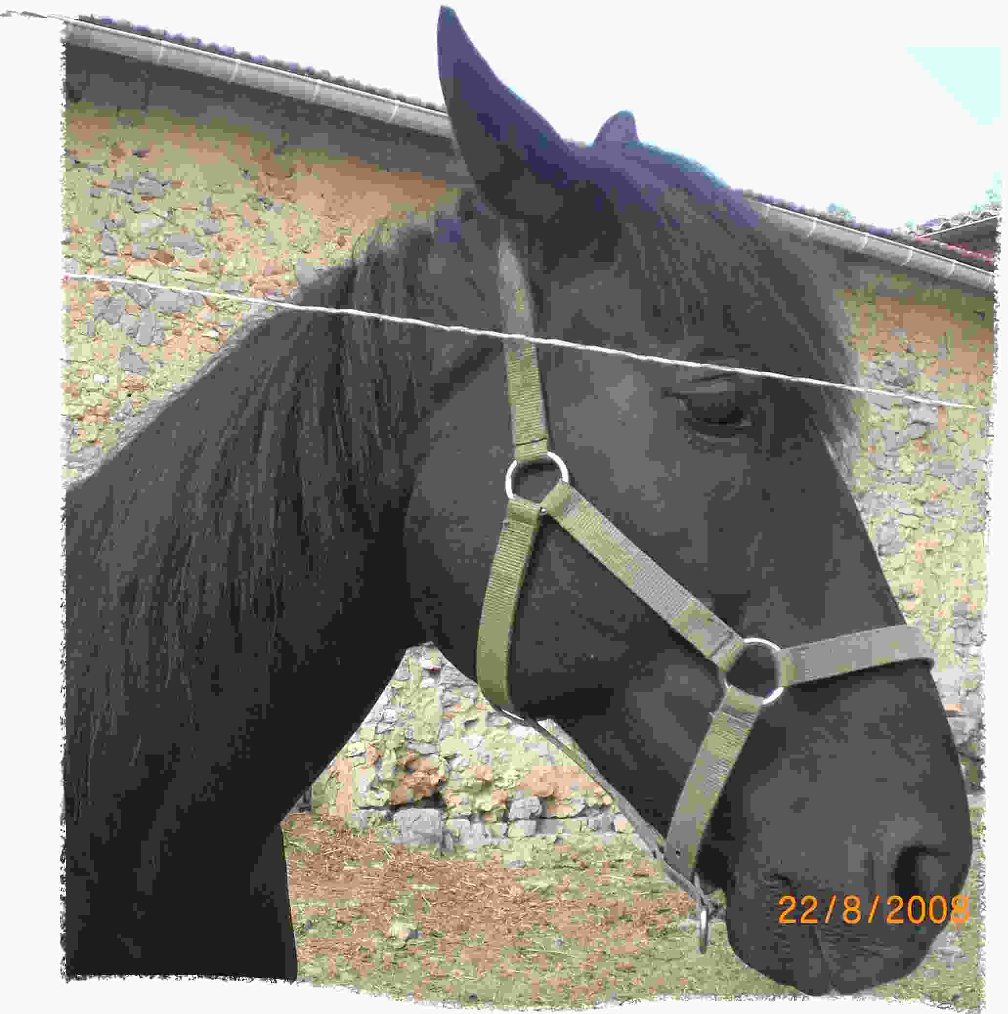 Photo de profil de pilounette