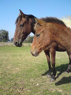 Photo de profil de raphia26