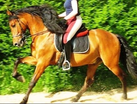 Photo de profil de scarfini