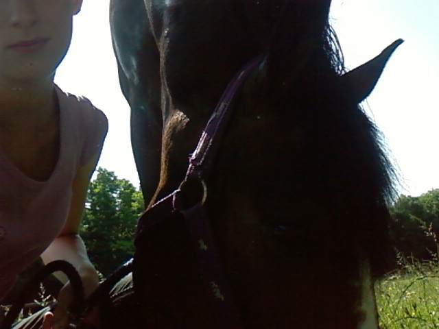 Photo de profil de sofi68