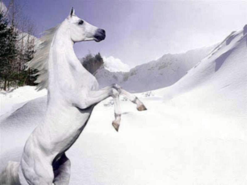 Photo de profil de theprincesse