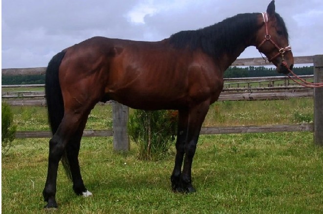 Photo de profil de thierry.v