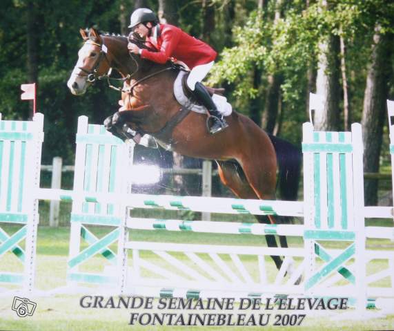 Photo de profil de titia31