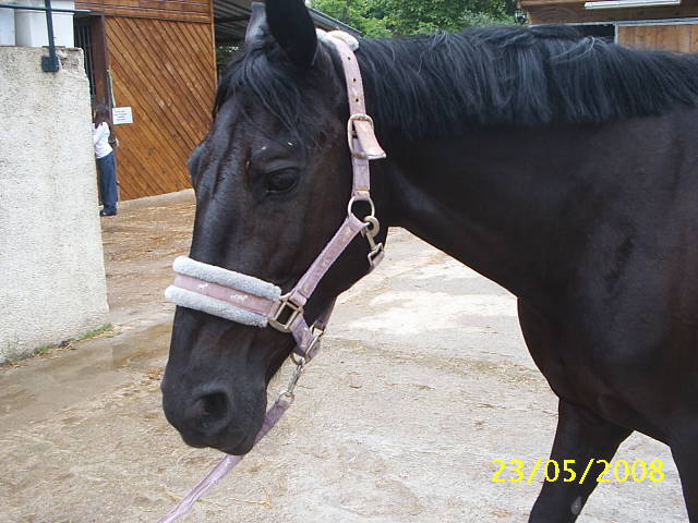 Photo de profil de titlyly95