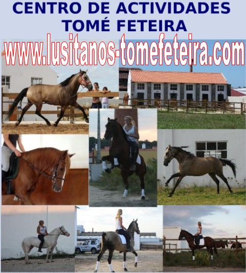 Photo de profil de tomefeteira