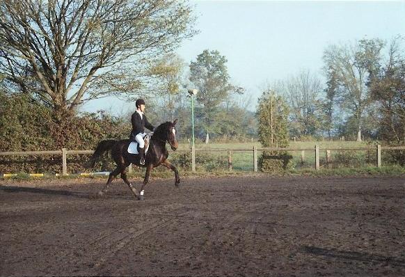 Photo de profil de tristanc52