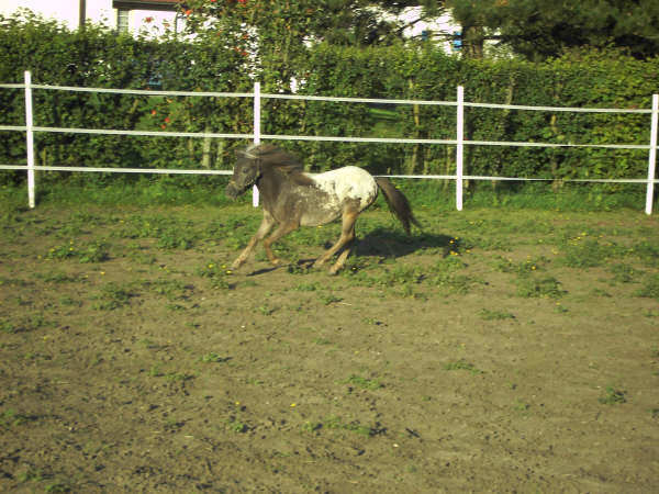 Photo de profil de tynga18