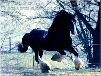 Photo de profil de ukland95
