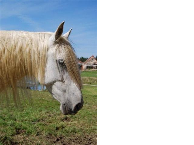 Photo de profil de vanessa62100