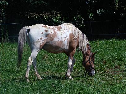 Photo de profil de vero65