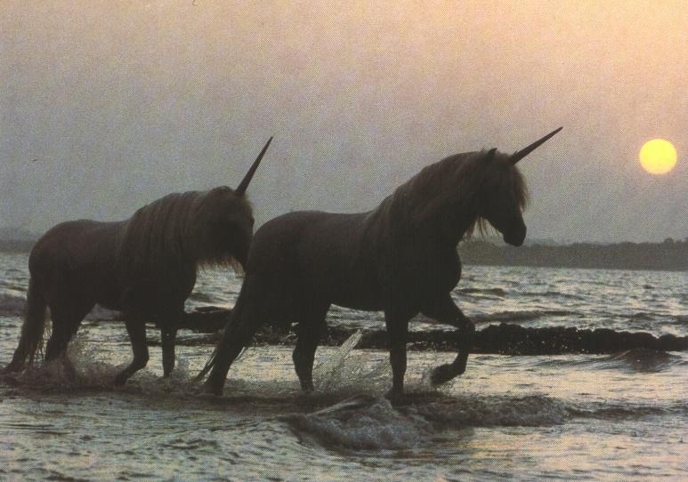 Photo de profil de zarahw