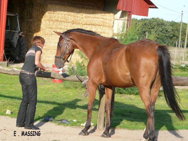 Photo de profil de agme