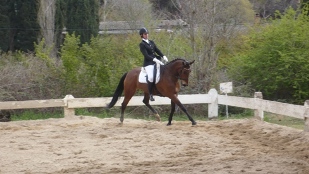 Photo de profil de alex84