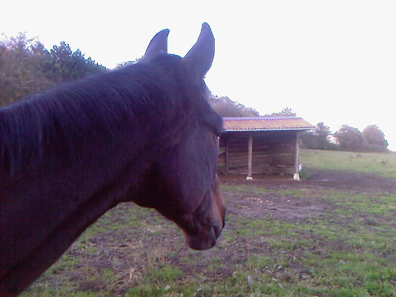 Photo de profil de alexandra1408