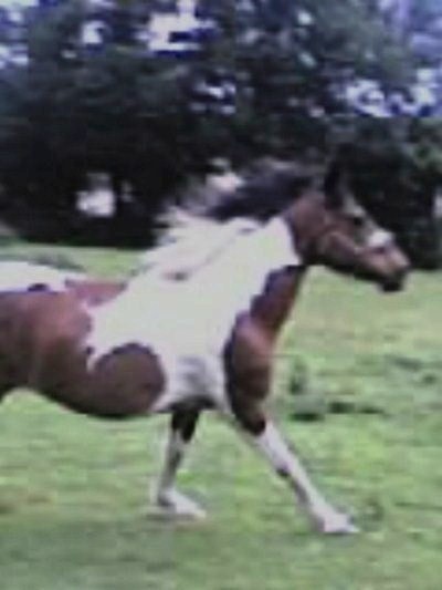 Photo de profil de aliice