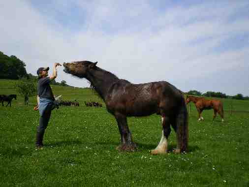 Photo de profil de aterreacheval