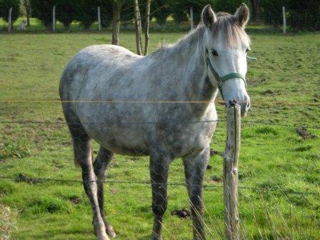 Photo de profil de auro