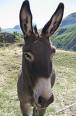 Photo de profil de cerise13