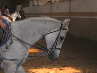 Photo de profil de chacha760