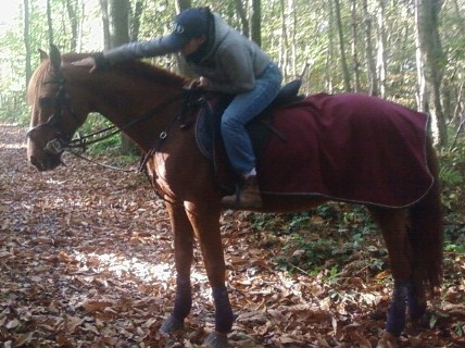 Photo de profil de chookette_beau