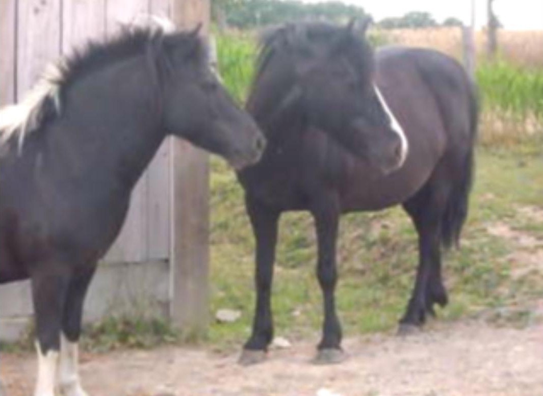 Photo de profil de claire53