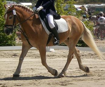 Photo de profil de cleophee