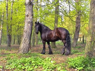 Photo de profil de clotildet