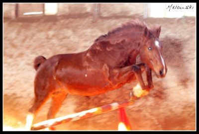 Photo de profil de coste54