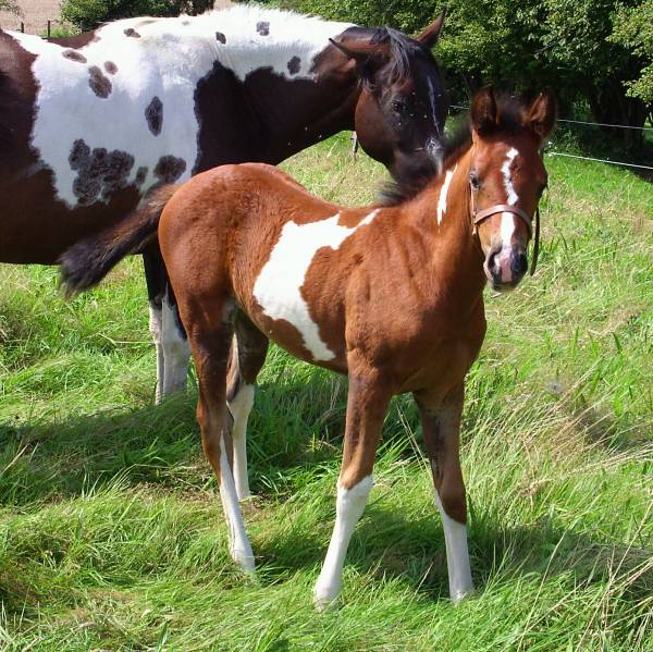 Photo de profil de didine72