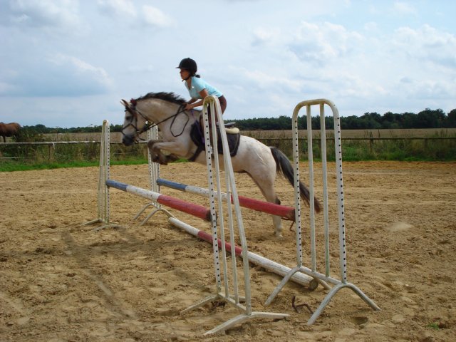 Photo de profil de didipouns