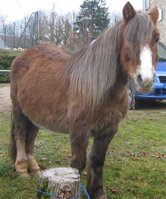 Photo de profil de domounath