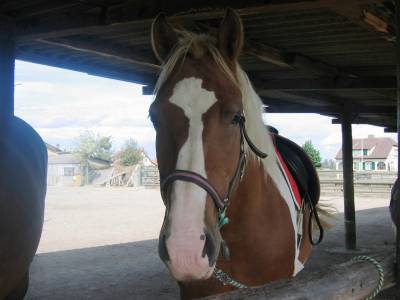 Photo de profil de doune68