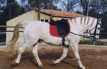 Photo de profil de etisses