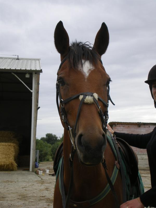 Photo de profil de etoiledemun