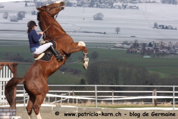 Photo de profil de fan-equitation