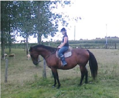 Photo de profil de fantaiisie