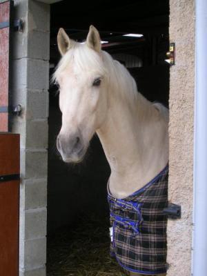 Photo de profil de fiiionaa-c