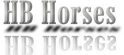 Photo de profil de hbhorses.be