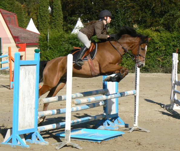 Photo de profil de iseedufays