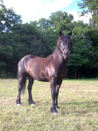 Photo de profil de ivoire38