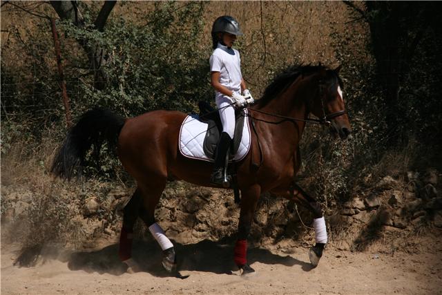 Photo de profil de jakson45620