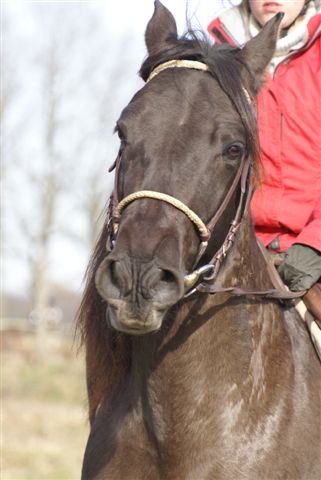 Photo de profil de jaleoetmilie