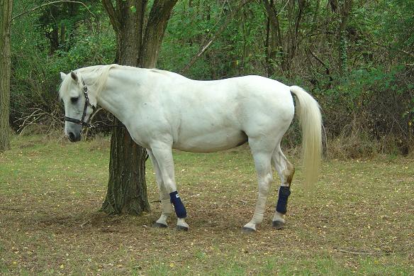 Photo de profil de jidja