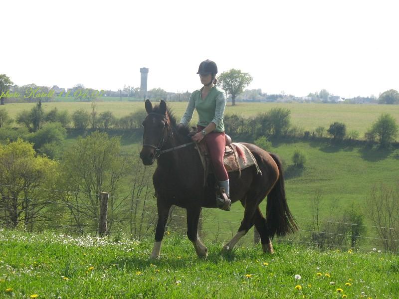 Photo de profil de katrele