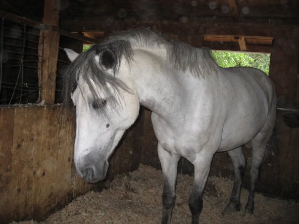 Photo de profil de kiiwwwra