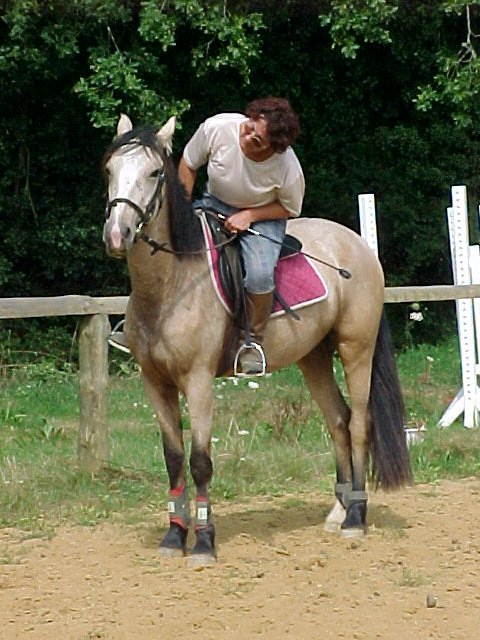 Photo de profil de killergigi