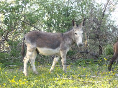 Photo de profil de laptite